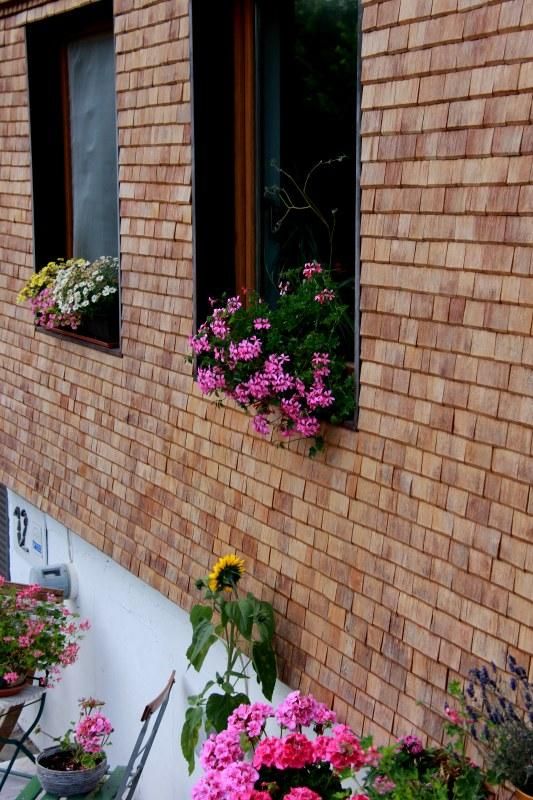 fassade_mit_blumen