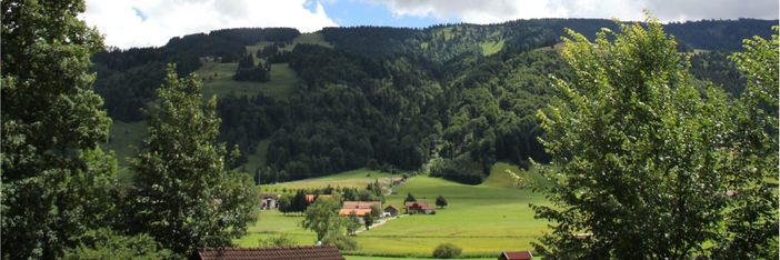 ausblick