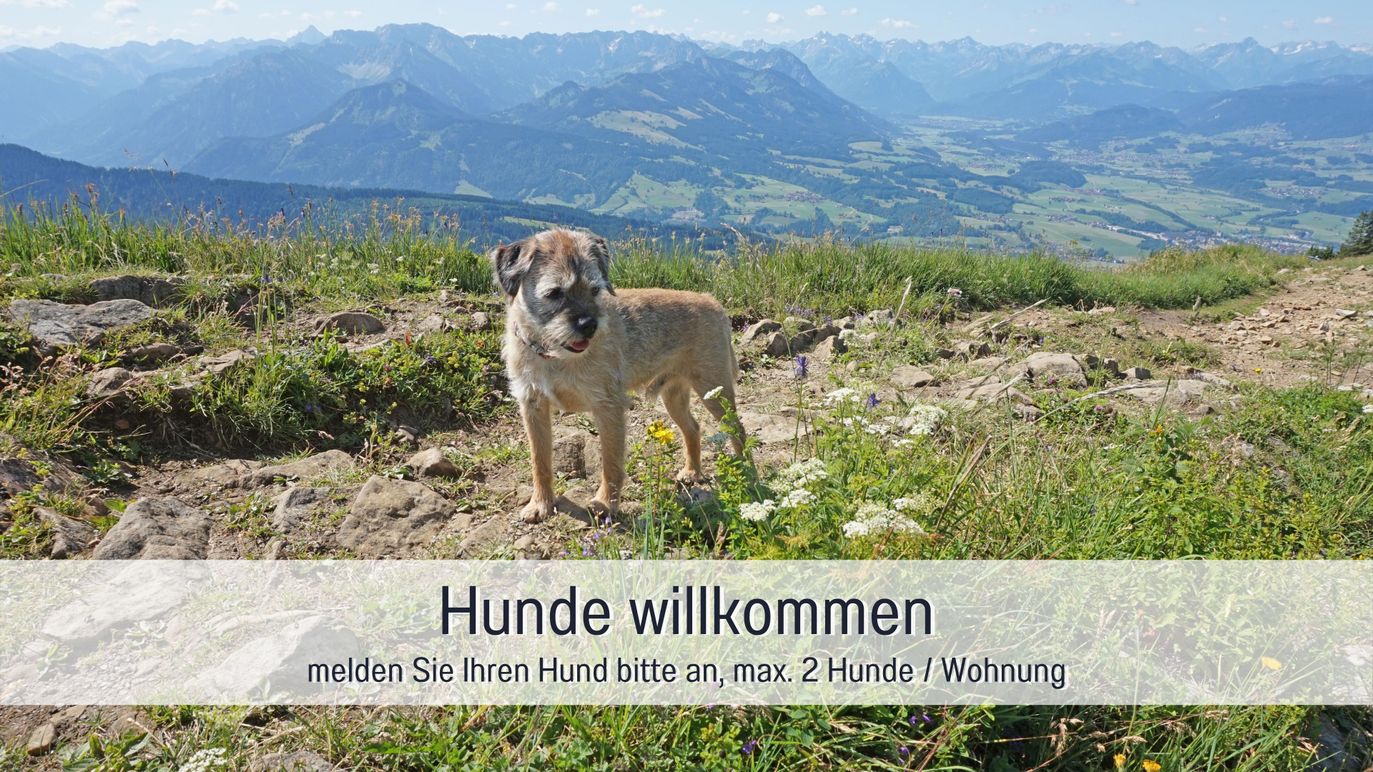 Biohof Burger Hunde willkommen