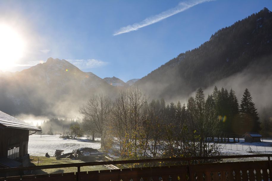 Ausblick