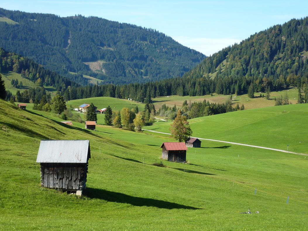 Krummenbach 04.10.09 055