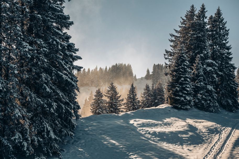 Winterlandschaft am Mittag