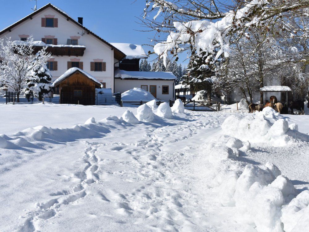 bilder kamera neu 706