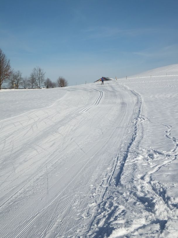 Kierwangrunde Bolsterlang