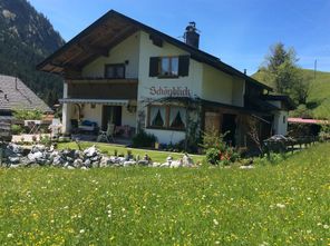 Sommer Bild