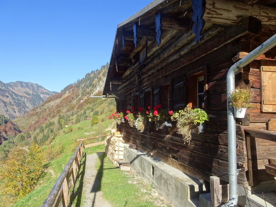... Hochalpe im Trettachtal ...