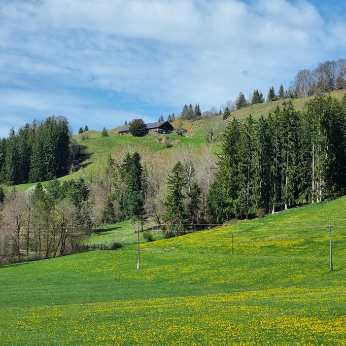 Bild Beichelstein