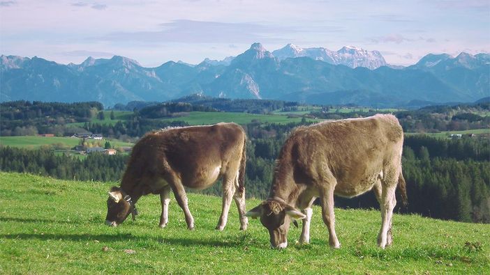 Schwarzenberg_Allgau