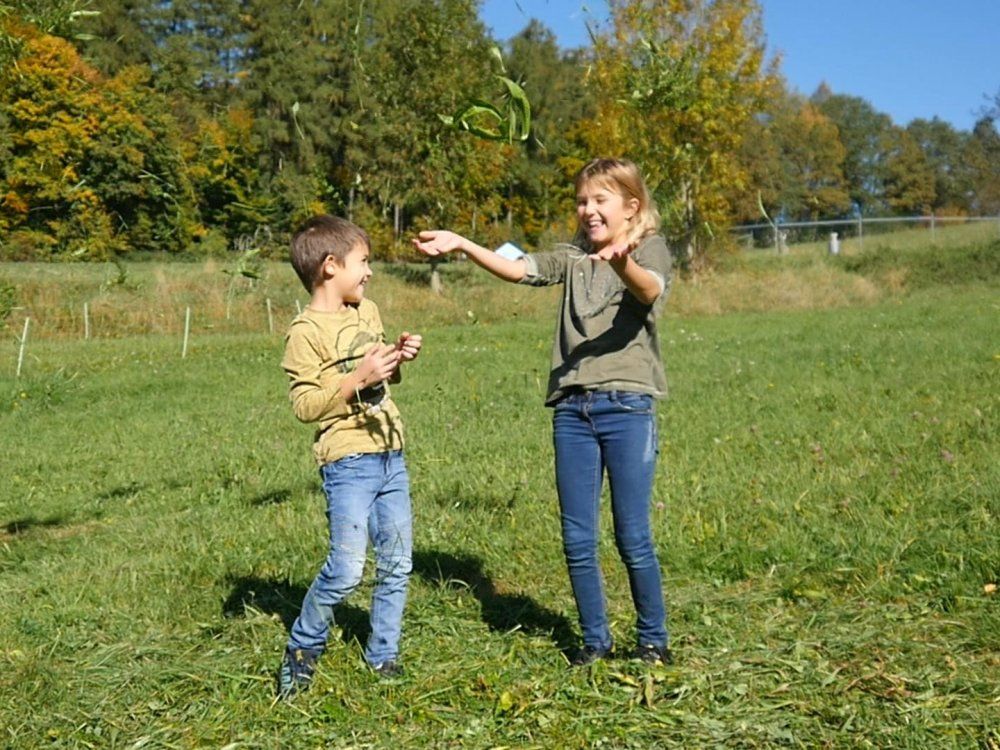 Natur erleben