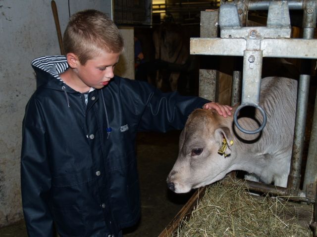 Landwirtschaft hautnah erleben