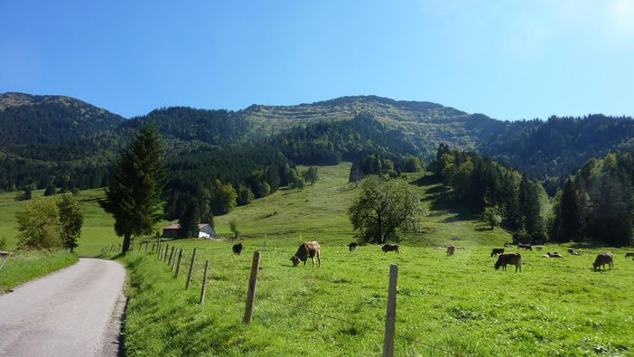 im Hintergrung der Hochgrat