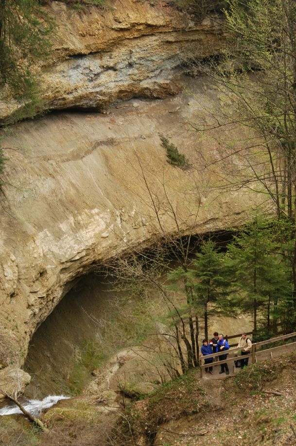 Scheidegger Wasserfälle