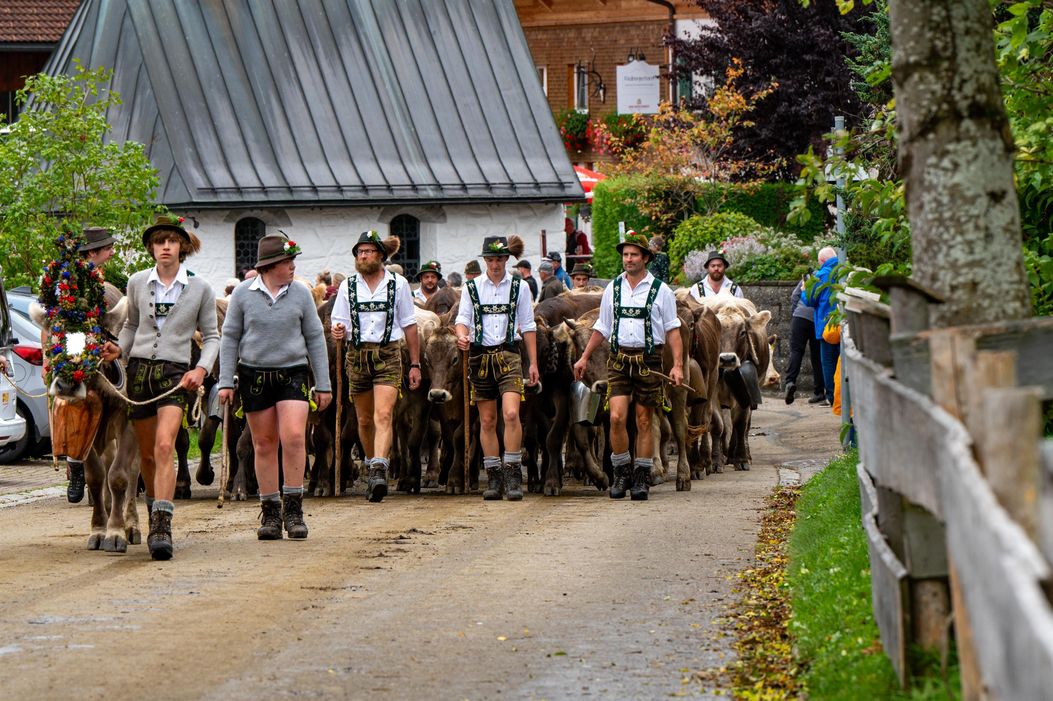 Viehscheid Alpe Bolgen