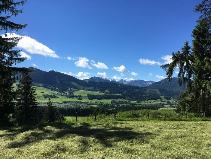 Bergsicht Tannheimertal