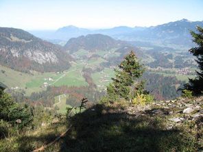 Alpenrose 2