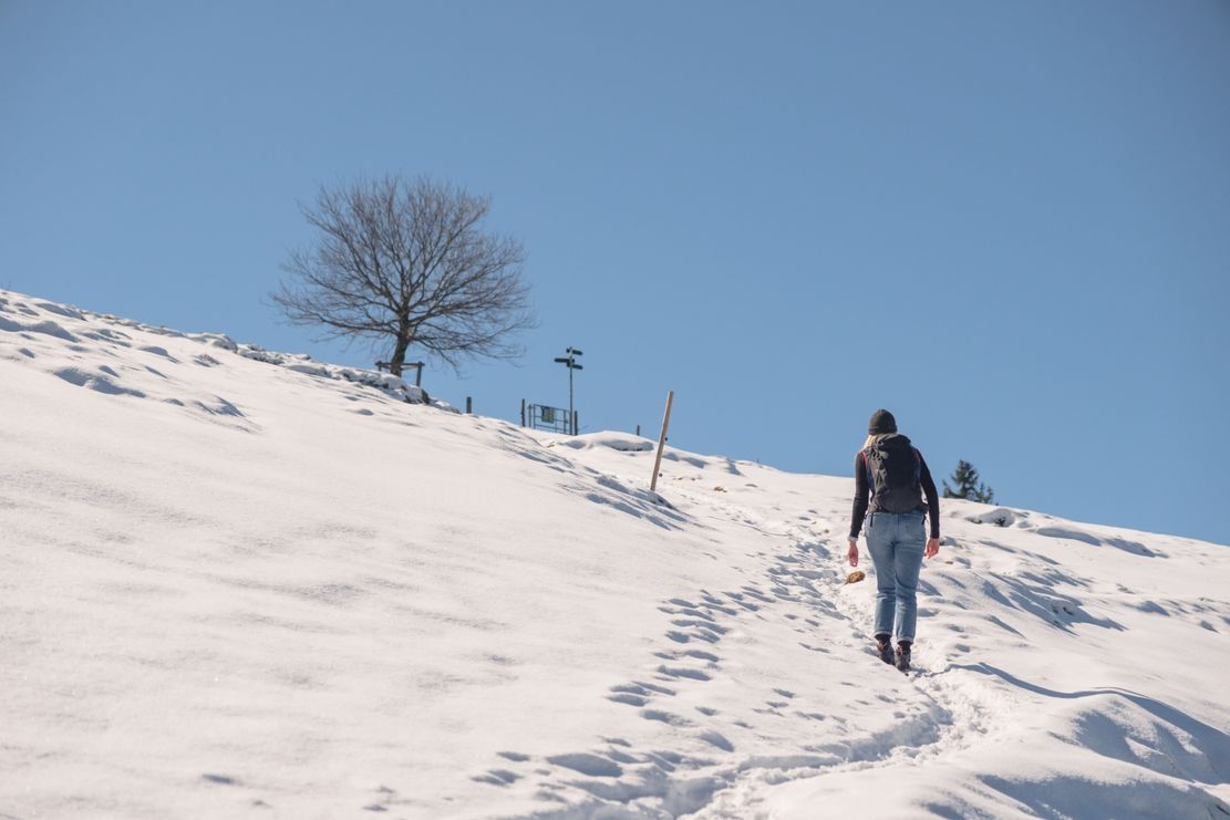 Verschneiter Wanderweg zum Gschwender Horn