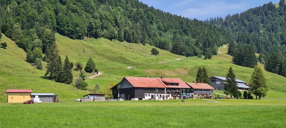Alpe Berg in Balderschwang