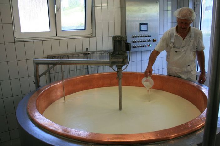 Eigene Hofkäserei mit Verkauf (Käse, Milch, Eier)