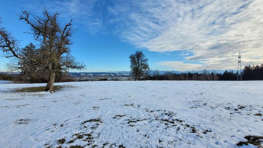 Rundtour über die Bergmang Alpe