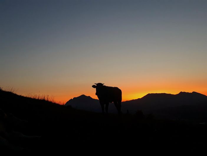 Sonnenaufgang am Sonderdorfer Kreuz
