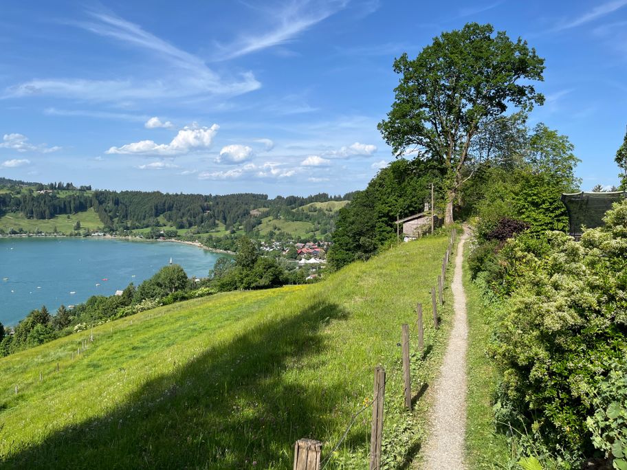 Wegeabschnitt oberhalb des Alpsees