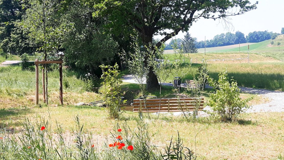 Kneipptretanlage Rothenstein