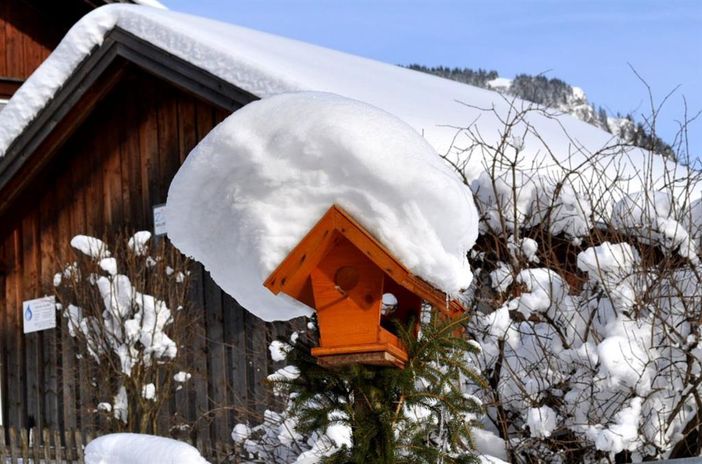 Haus Zint - Winter 2