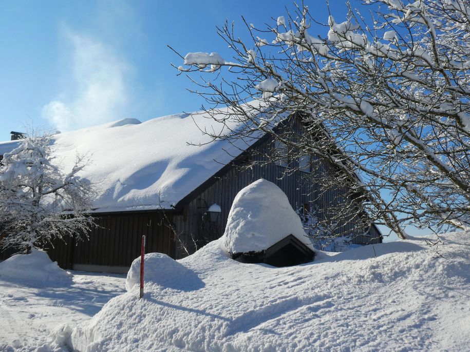 So wunderbar kann Winter sein.