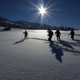 Bild 14