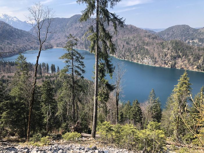 Alpsee bei Neuschwanstein