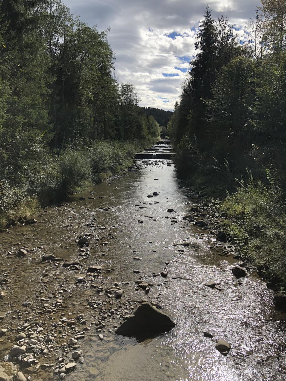Umgebung Fischen im Allgäu