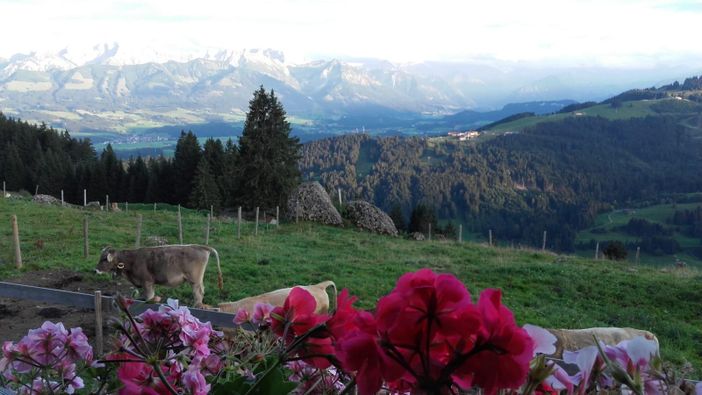 Bergpanorama