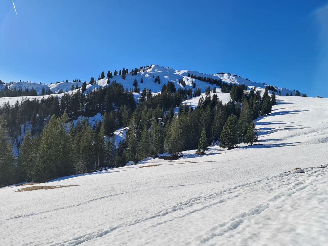 Schneeschuhtour auf's Bleicherhorn
