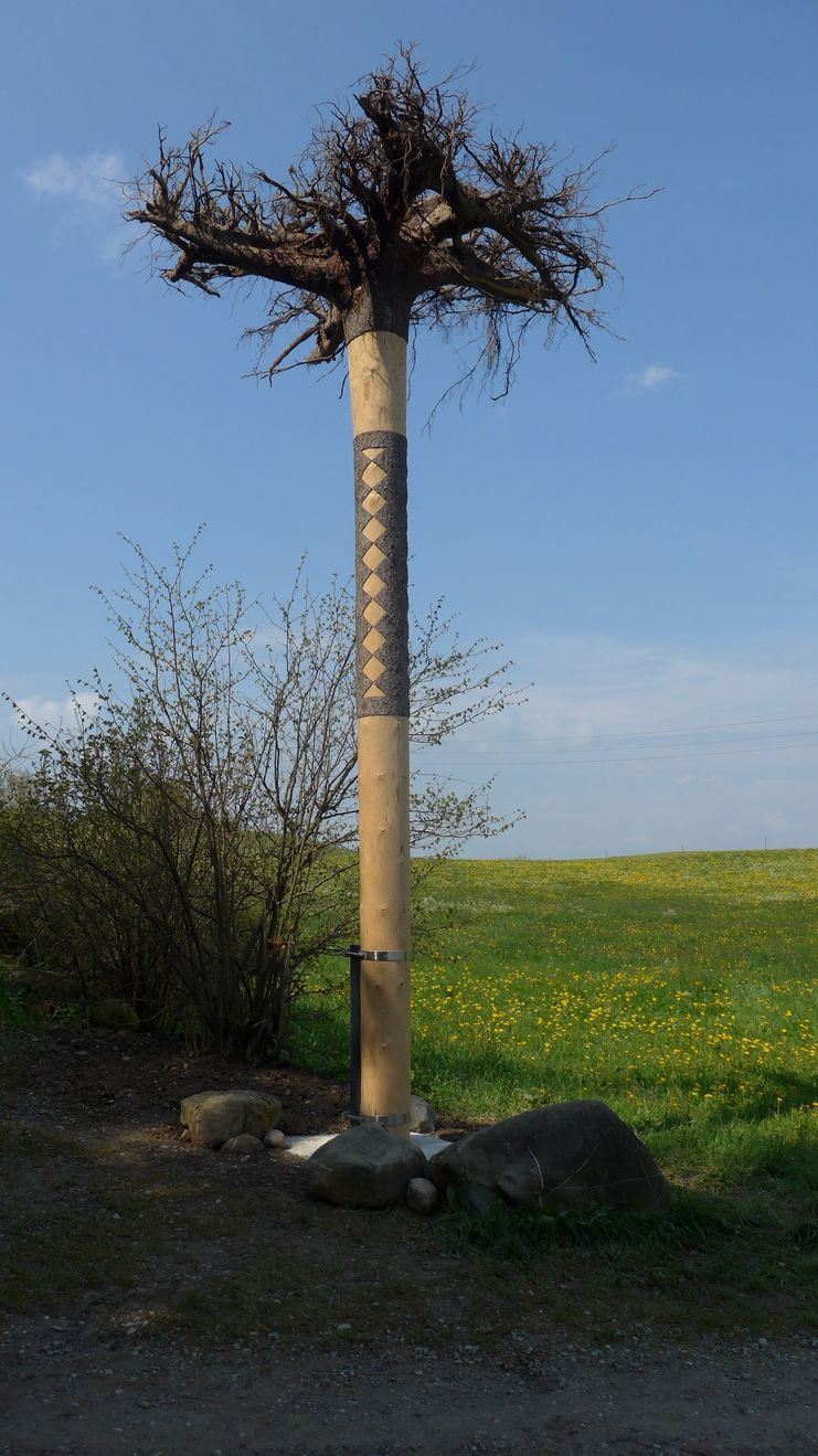 Unterwegs auf dem Reutwaldpfad