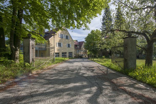 Spaziergang in der Natur