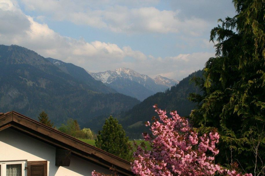 Balkonblick  Whg. Clemens zum Rauhorn