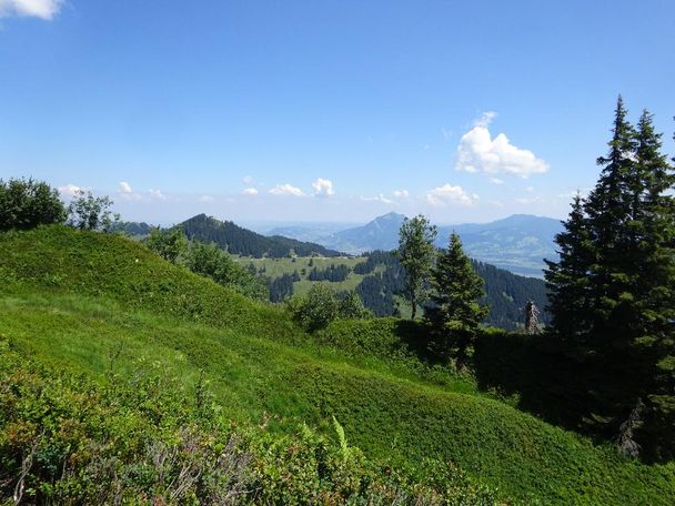 Wannenkopf-Wandertour ab Bolsterlang