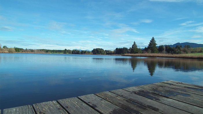 Schwarzenberger_Weiher2
