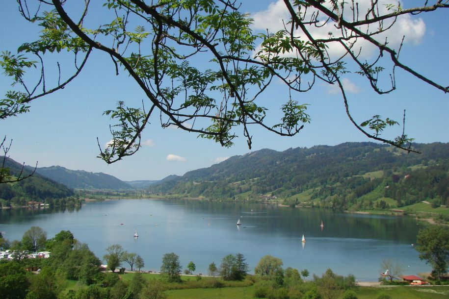 Alpsee