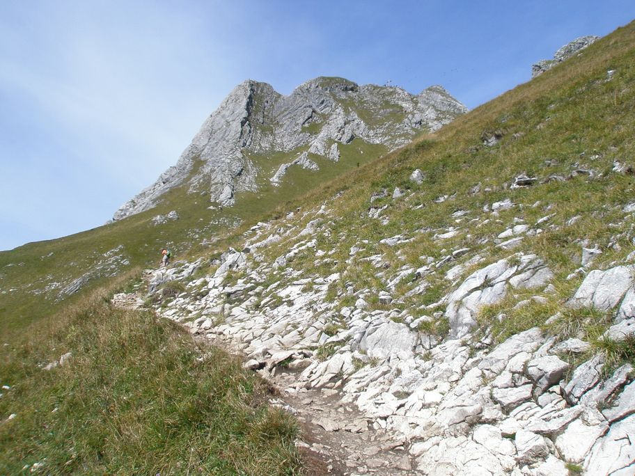 Auf-Blick oder Weg-gehen