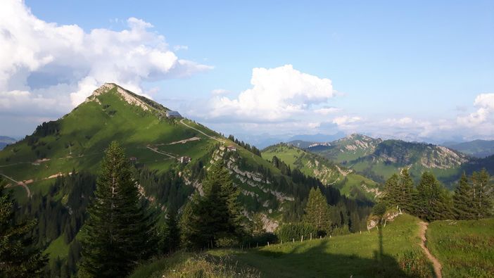 Auf dem Seelekopf mit Blick zum Hochgrat
