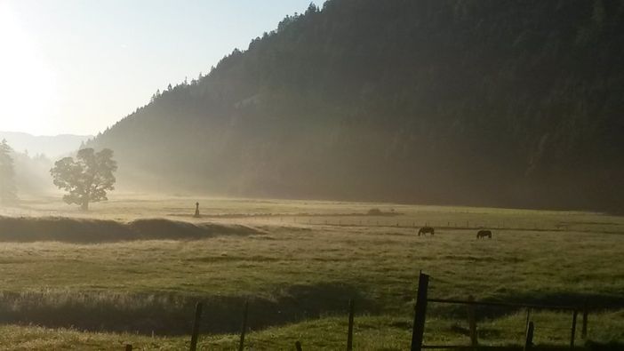 Bei uns am Morgen