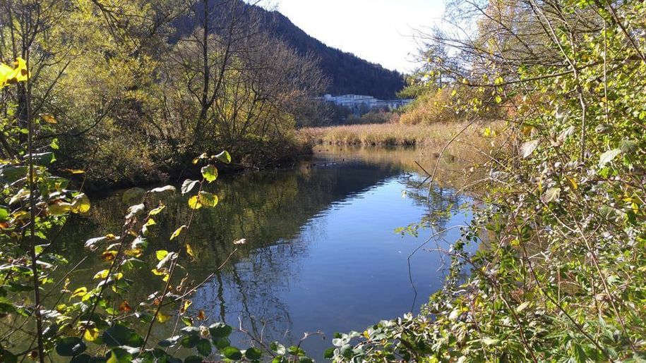 Die Ach im Herbst