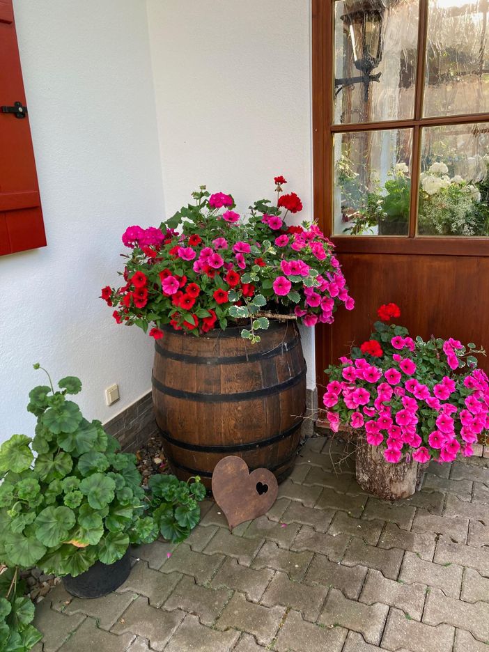 Blumen beim Eingang