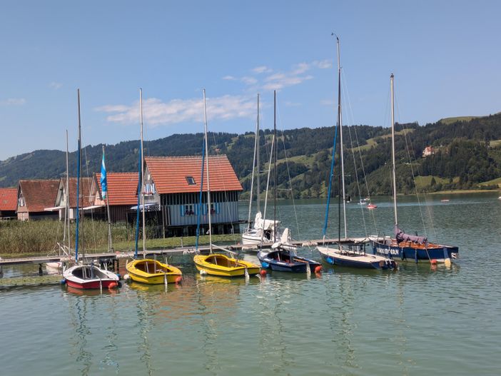 Alpsee Boote