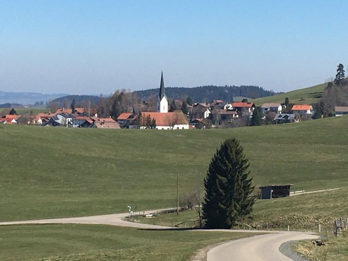 Buchenberg im Frühjahr