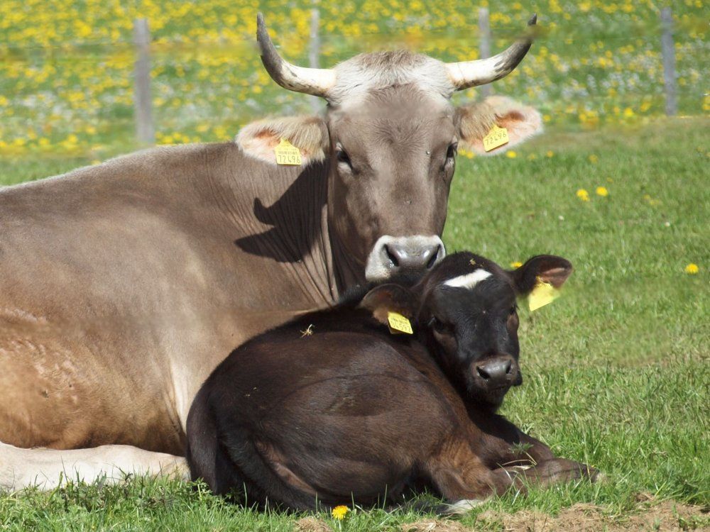 Mama-Glück