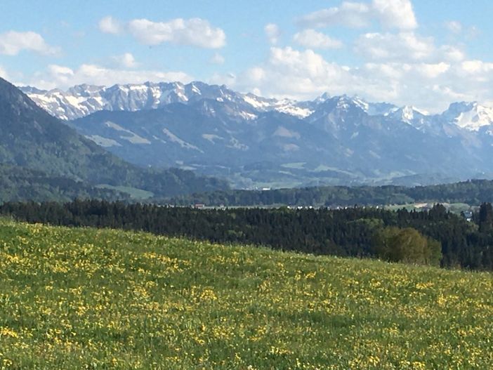 Frühlingsblick von der Fewo Grünten (Ausschnitt)