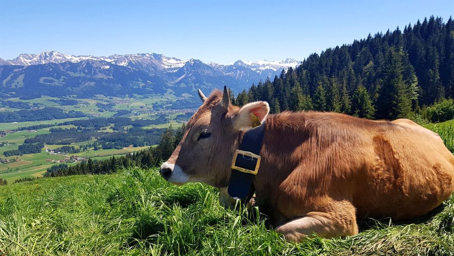 Blick von der Alpe Ornach