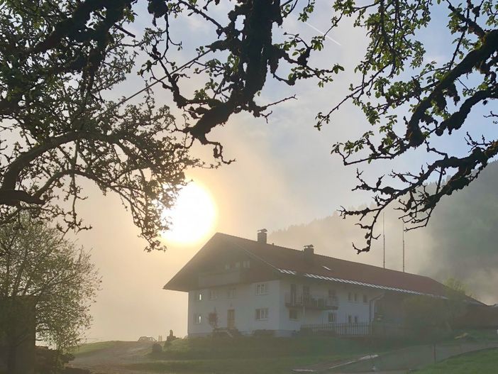 Bei uns in den Morgenstunden
